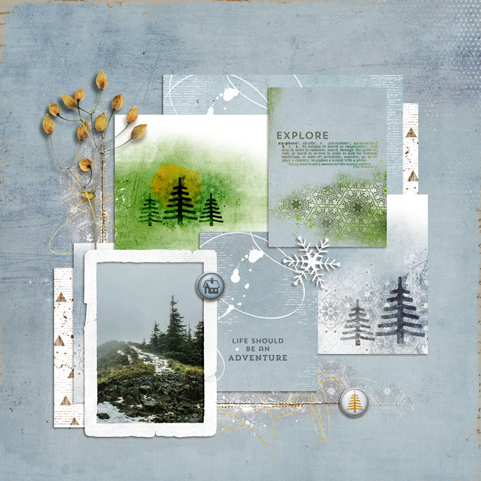 Lynn Grieveson's November Featured Products Challenge