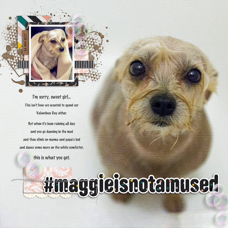 #maggieisnotamused (Template Challenge, May 2017)