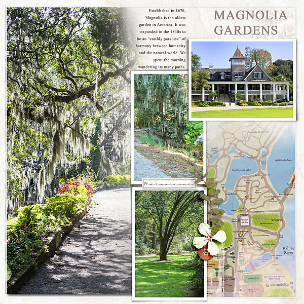 Magnolia Gardens