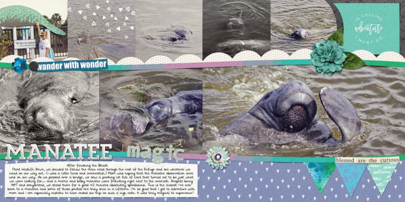 manatee magic