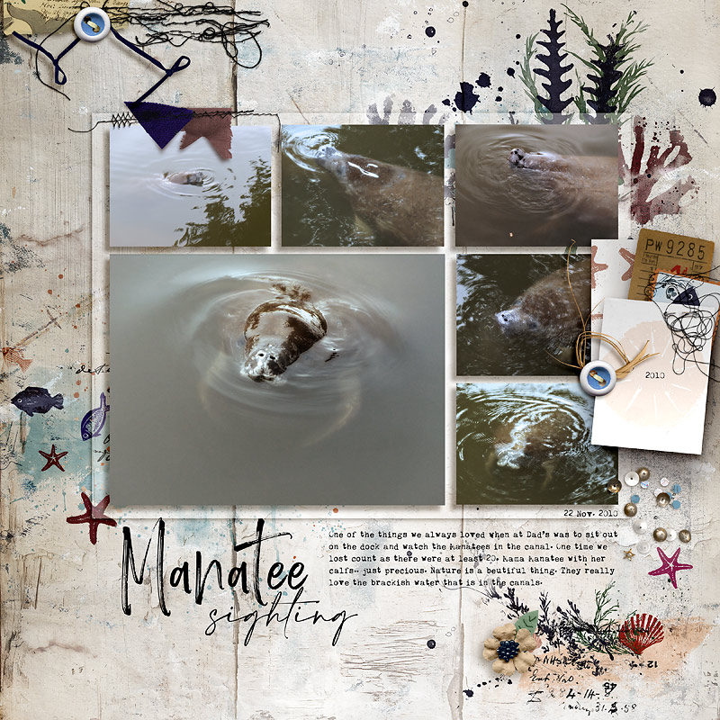 Manatees