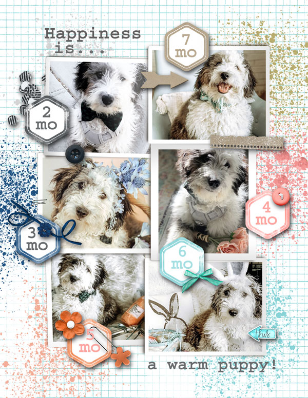 Many faces of Dash