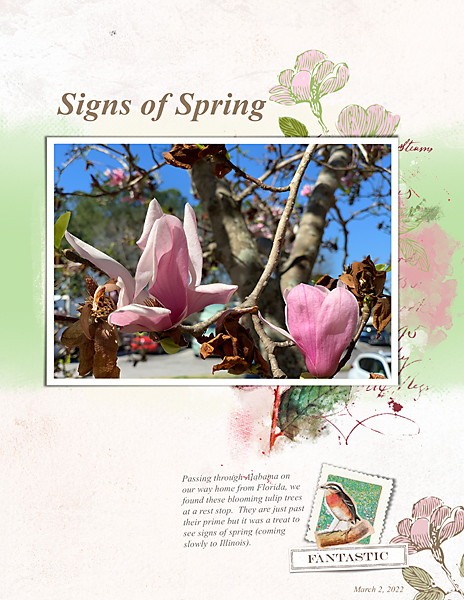 Mar2022_random-chall_flowersgal_web