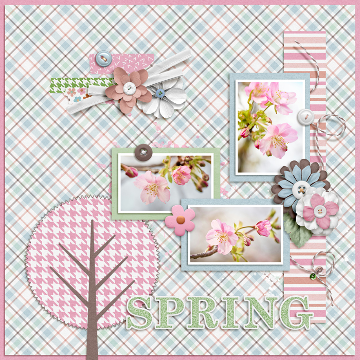 March 2025 Template Challenge