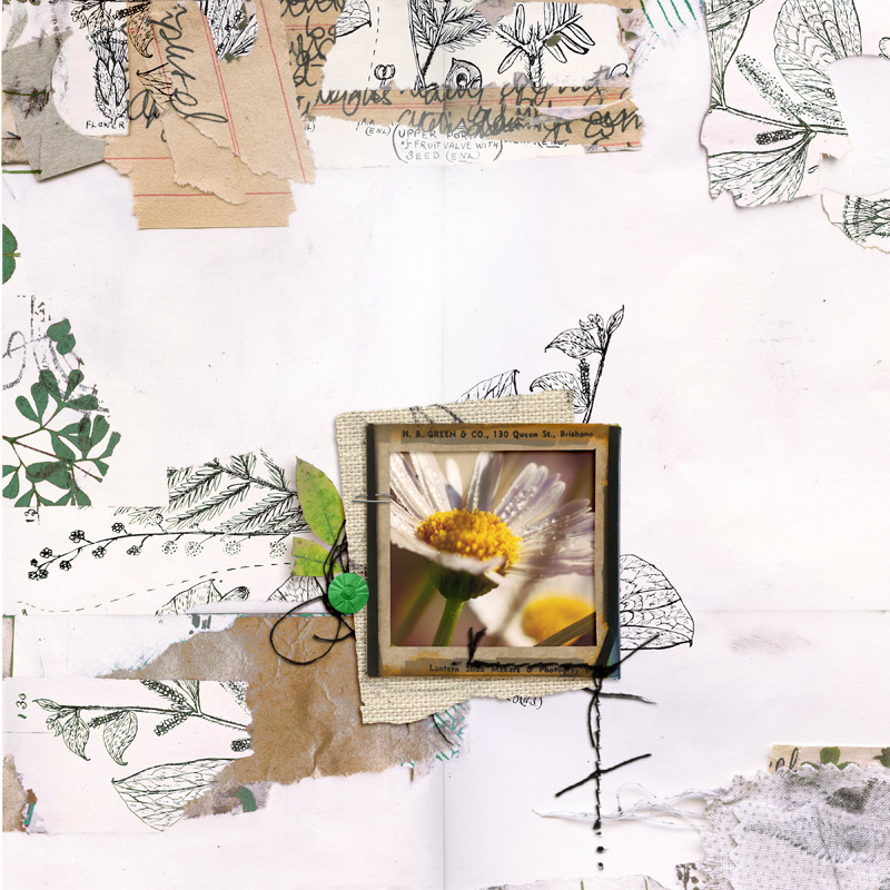 Marguerite