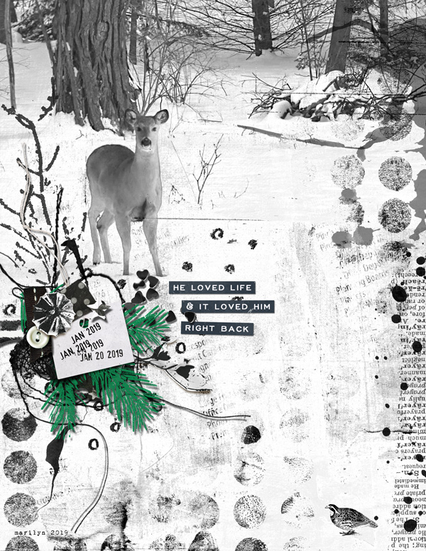 Marilyn_Rachel-Jefferies_2019-12_December_Challenge_Monotone_web