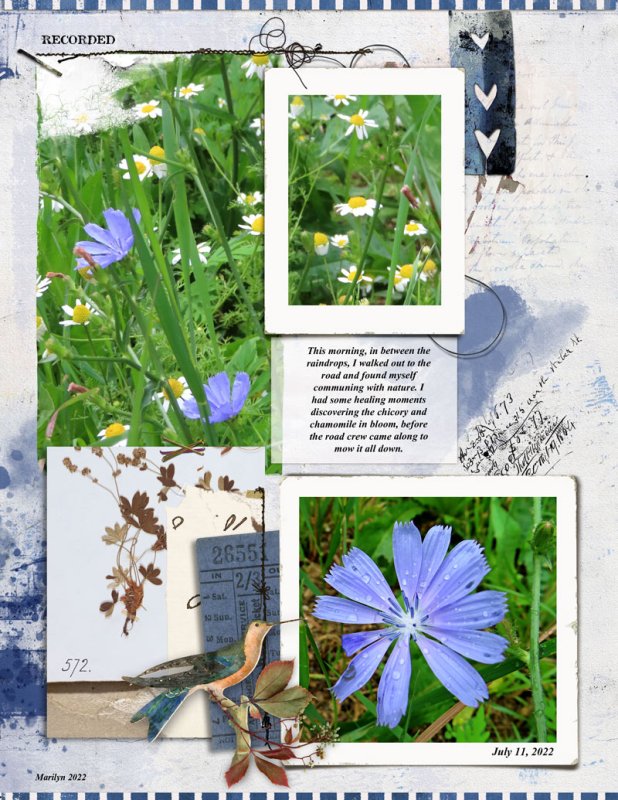 Marilyn_Rachel-Jefferies_2022-07_July_New_0715_Healing_web