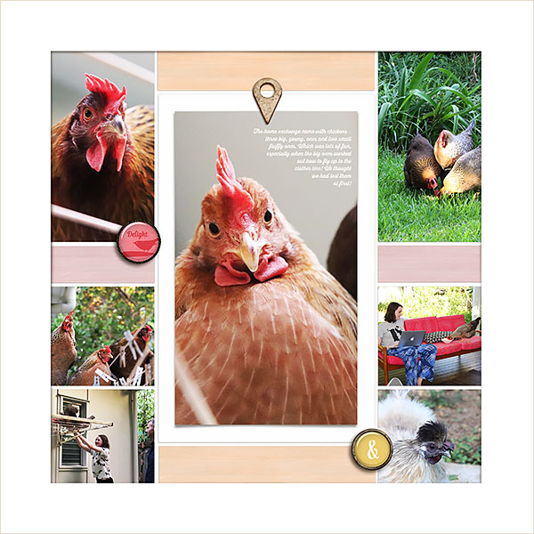 Maroochydore Chickens