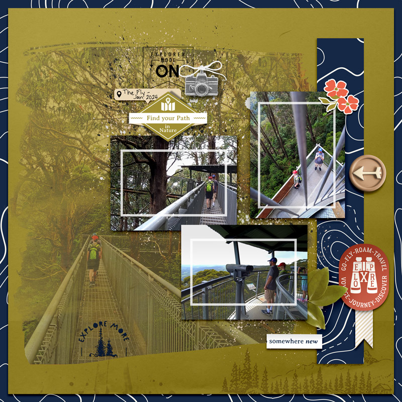 MarTempChall - Treetop walk