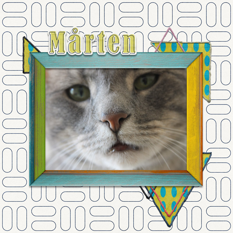 Marten