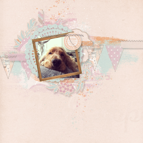 Max