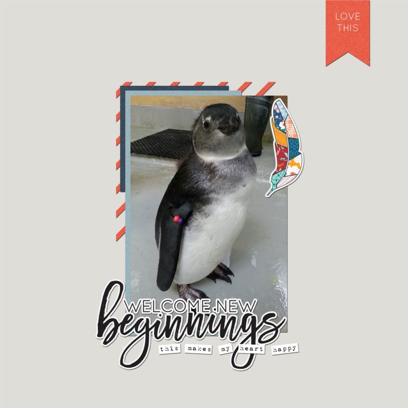 May 2017 Amber Labau Template Challenge