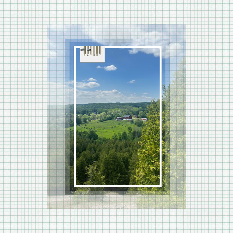May-2025-TLP-Random