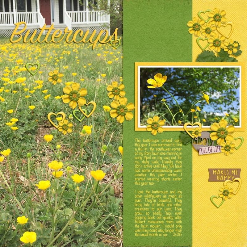may - buttercups