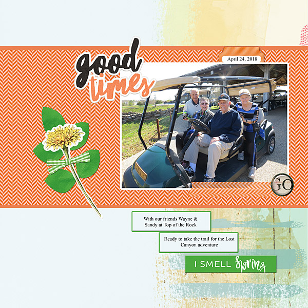 May6_SlowScrap_bellbird_web