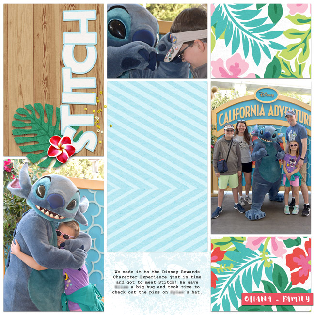 Meeting Stitch