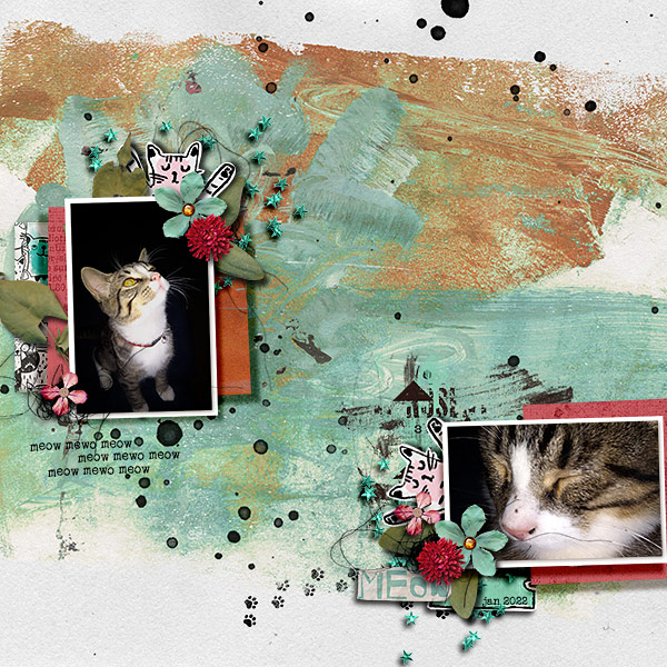 Meow Meow Meow