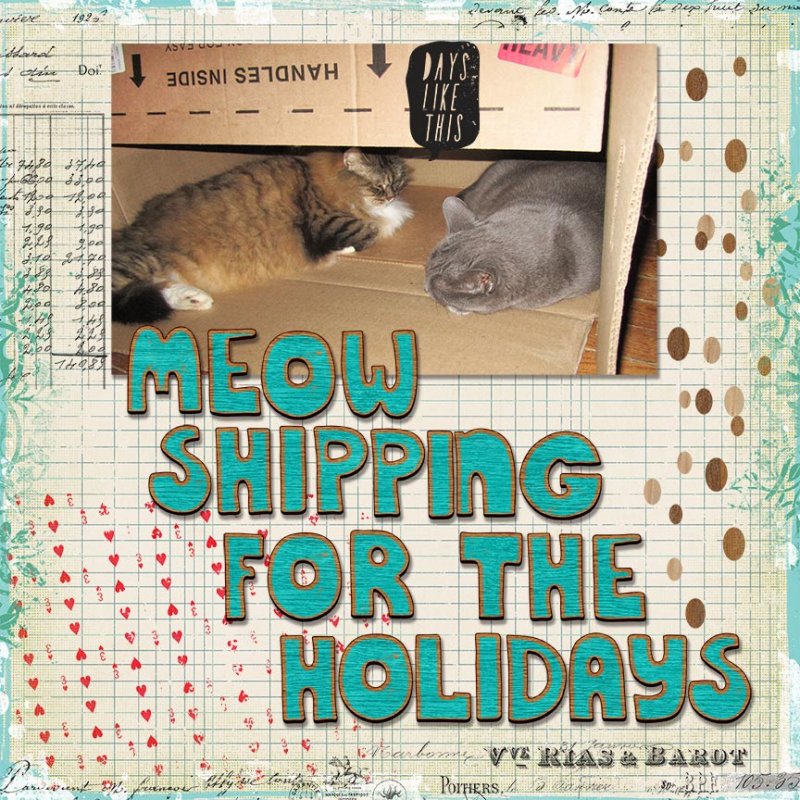 Meow-Shipping---12-Days-of-AJ---Day-10