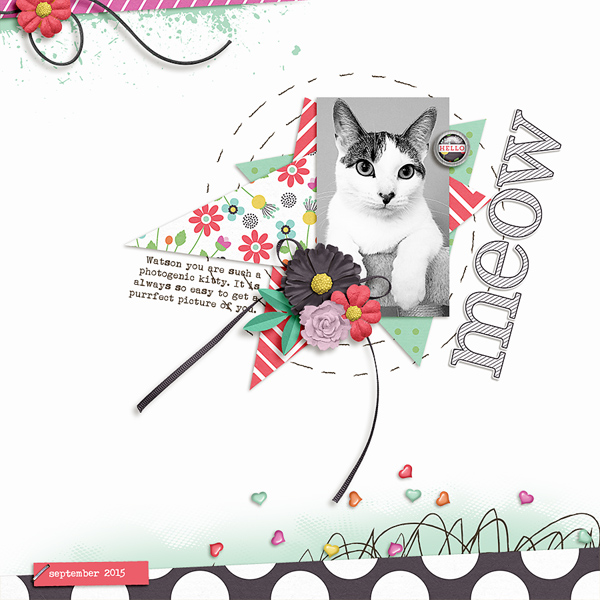 meow