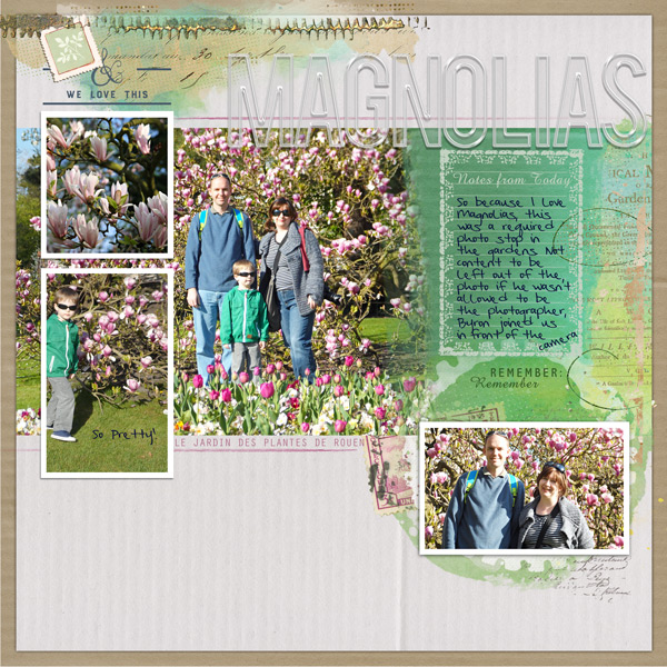 merged magnolias