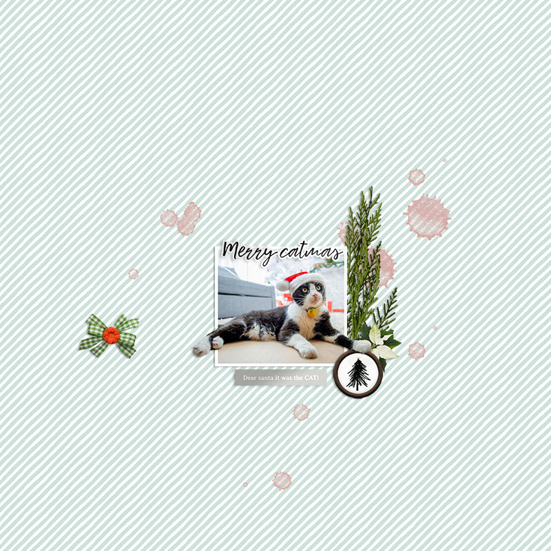 merry catmas