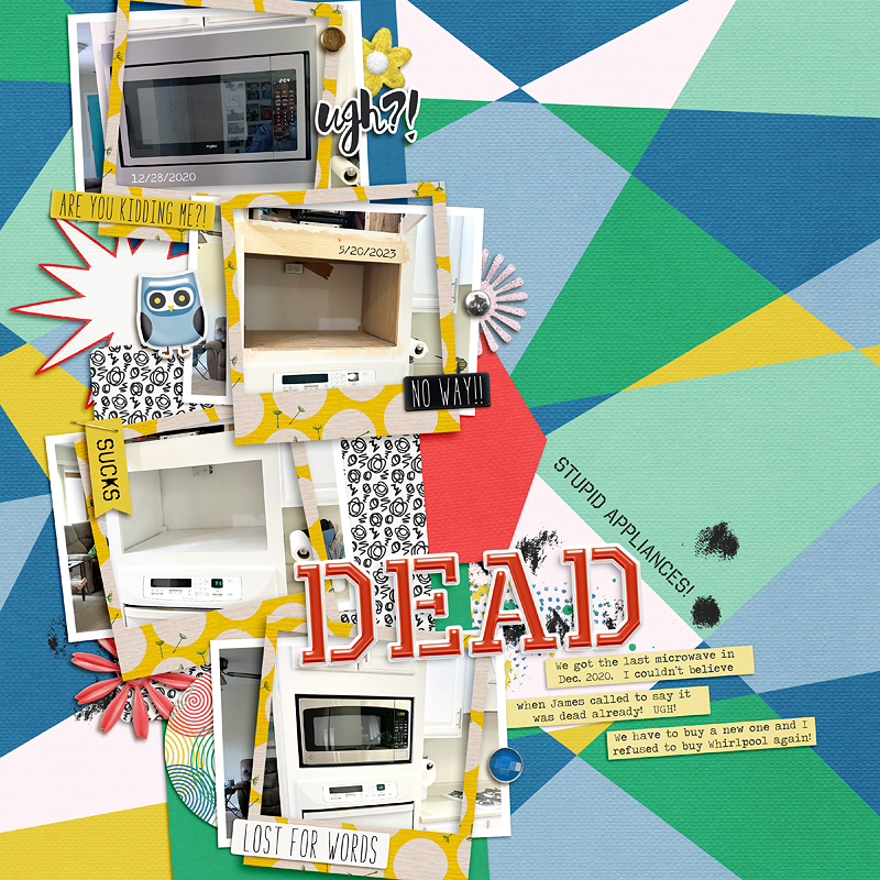Microwave Died