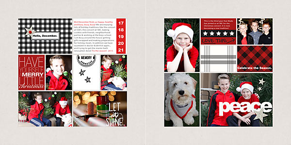 Mid-dec-copy