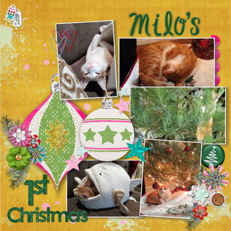 Milo's 1st Christmas