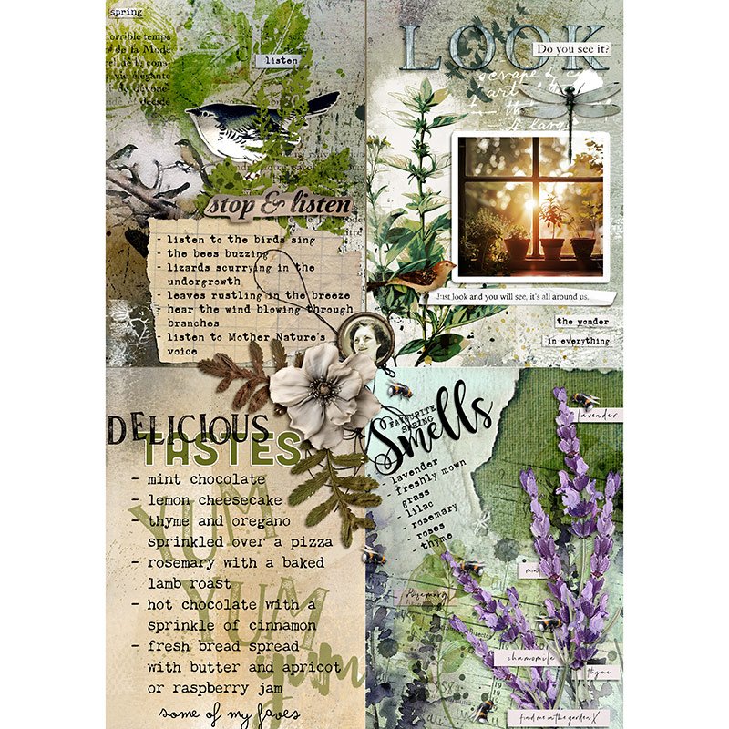 Mindful Senses - Completed