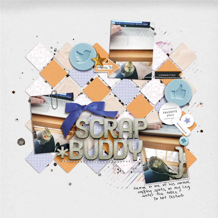 MISapr-I scrap, he snoozes