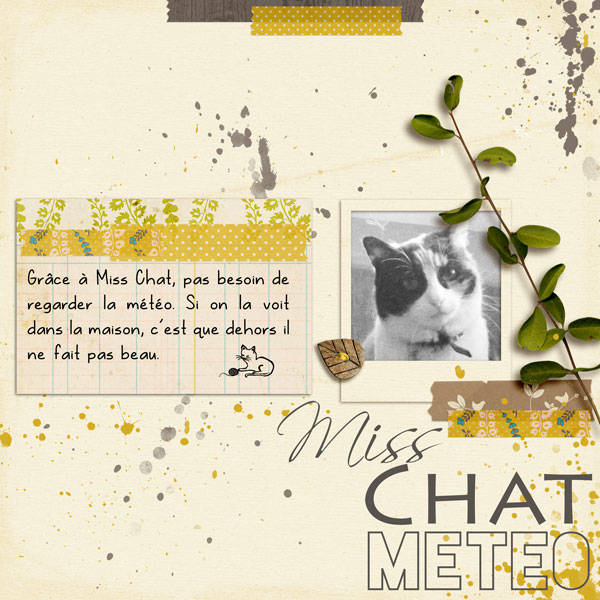 Miss Chat Meteo