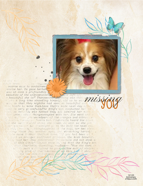 Missing-You