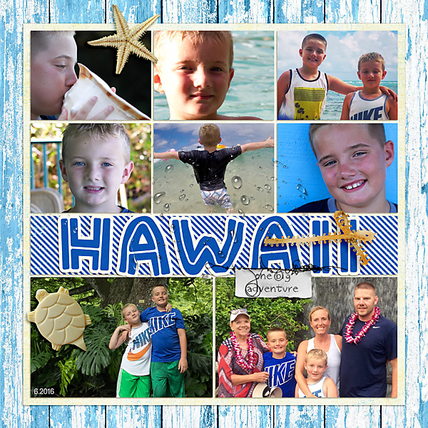 Moc 1-18-2017 2016 Hawaii