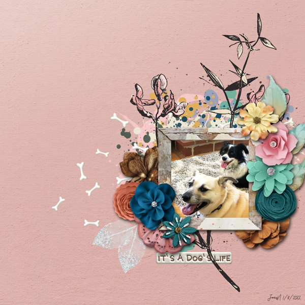 MOC 10 Jan08_Florals Foliage And Frames_its A Dogs Life