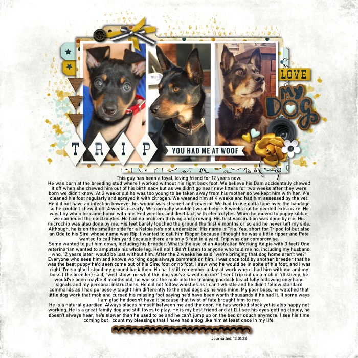 MOC-11-2023---Day-10
