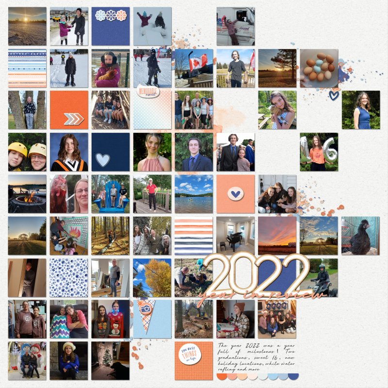 MOC 11 - January 15 - Year In Review