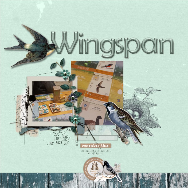 MOC 13 - 27 - Wingspan
