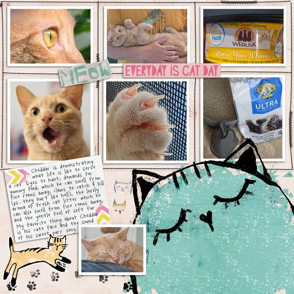 Moc 13 Day 17 - Cheddar Senses Grid