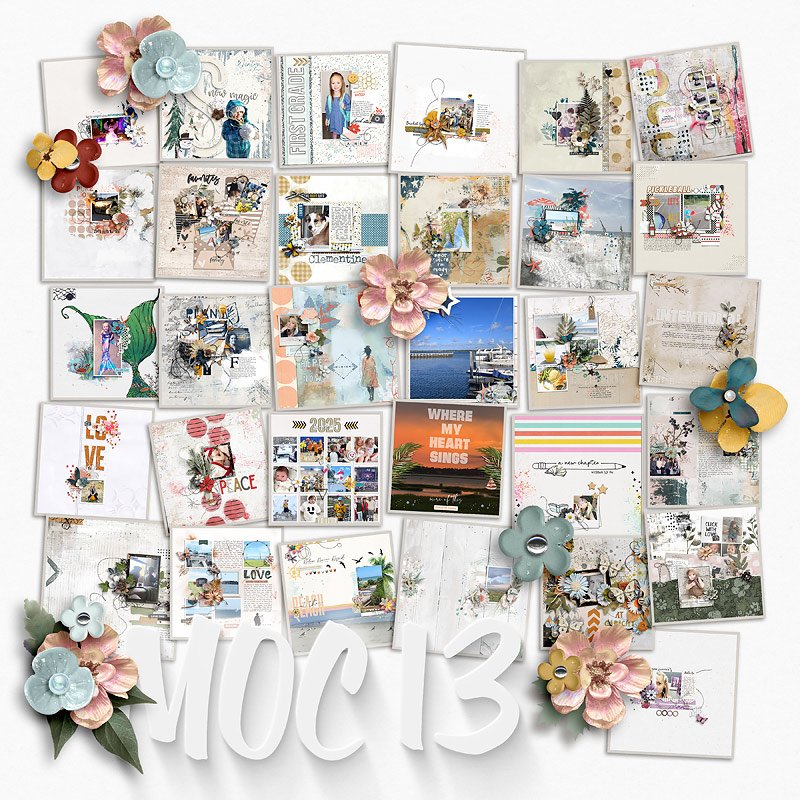 MOC 13 | Final