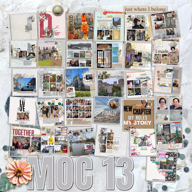 MOC 13.jpg