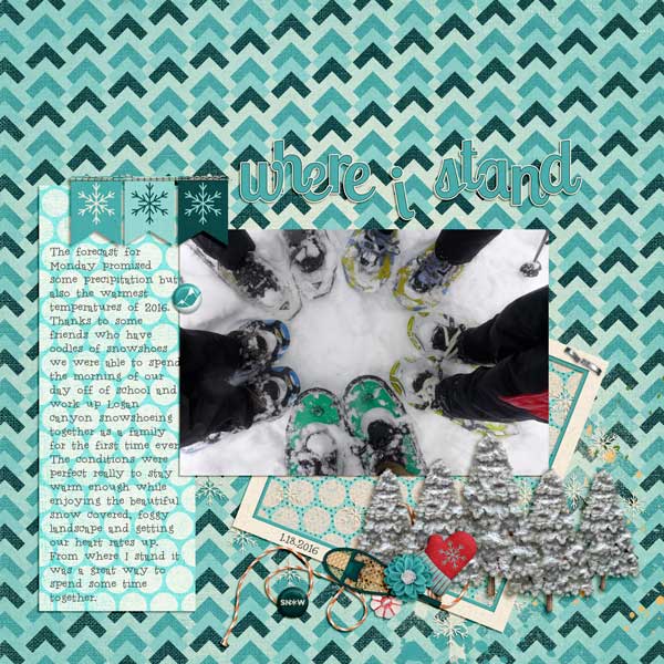 MOC 14: Snowshoeing