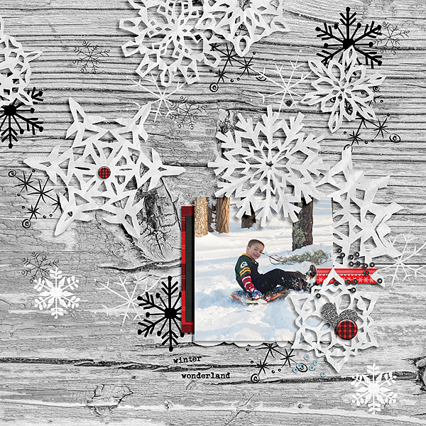 MOC-15---Winter-Wonderland