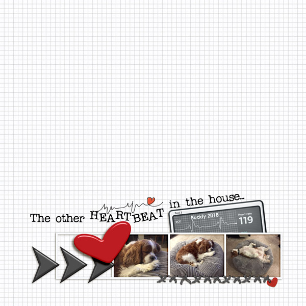MOC 2019 #14 - The Other HEARTBEAT in the House...