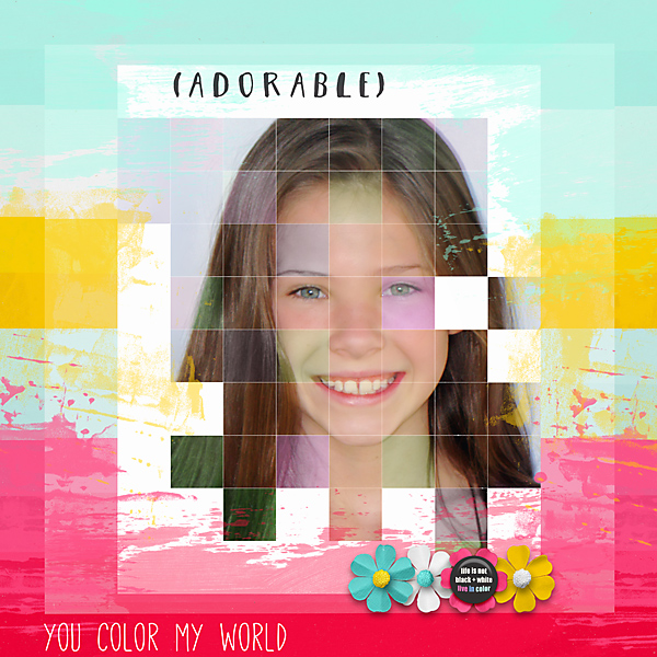 MOC 2020 Day 5 Grid Photo WEB