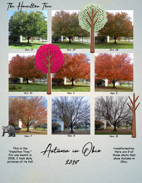 MOC-20_Autumn-in-Ohio