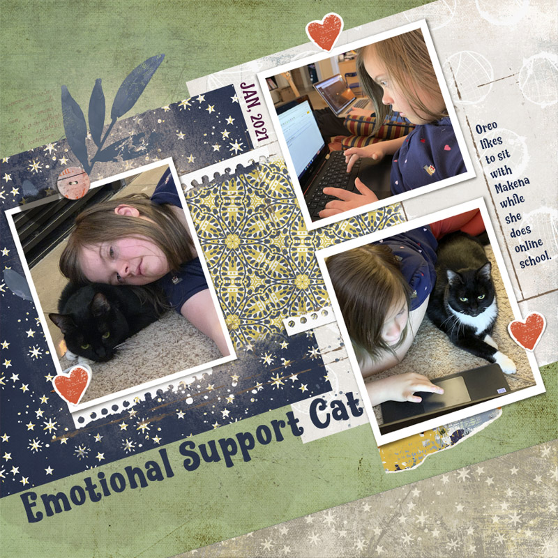 MOC 25 Emotional Support Cat
