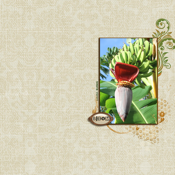 MOC 4: Bloom (Banana Blossom)