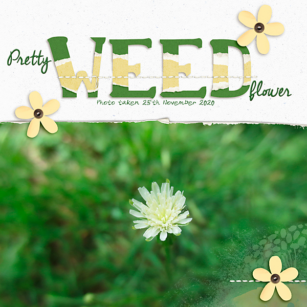 MOC 6 - Torn Title - Pretty Weed Flower