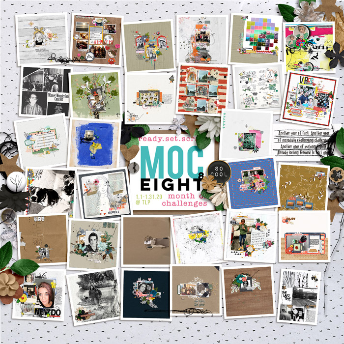 MOC 8 Collage