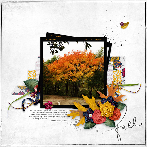MOC 8 : Day 1 : Fall